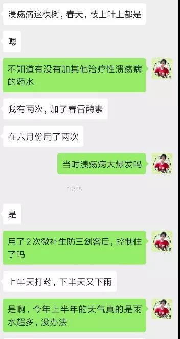 聊天記錄
