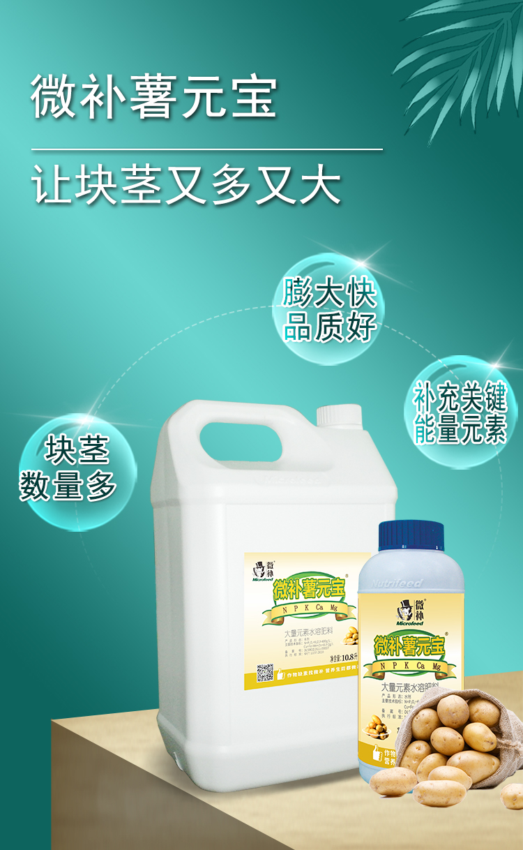 微補(bǔ)薯元寶_01.jpg