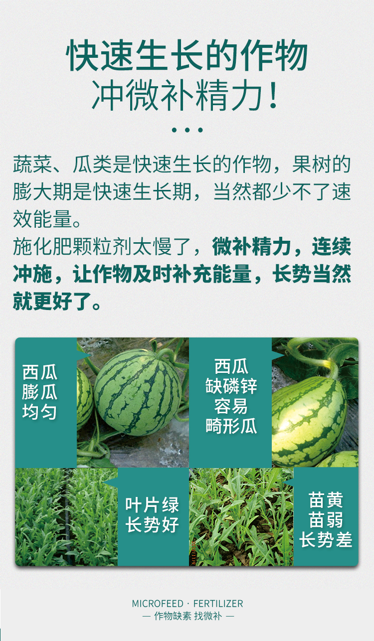 微補(bǔ)精力_07.jpg