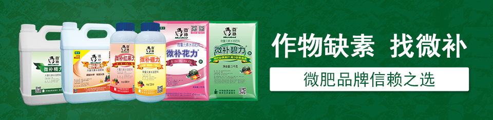 肥料批發(fā)